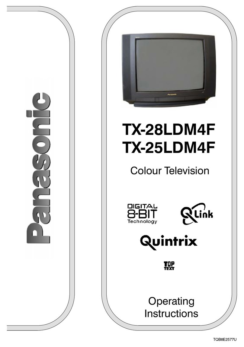 Panasonic TX-25LDM4F User manual