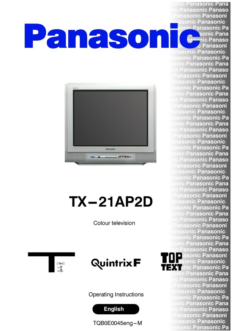 Panasonic QuintrixF TX-21AP2D User manual