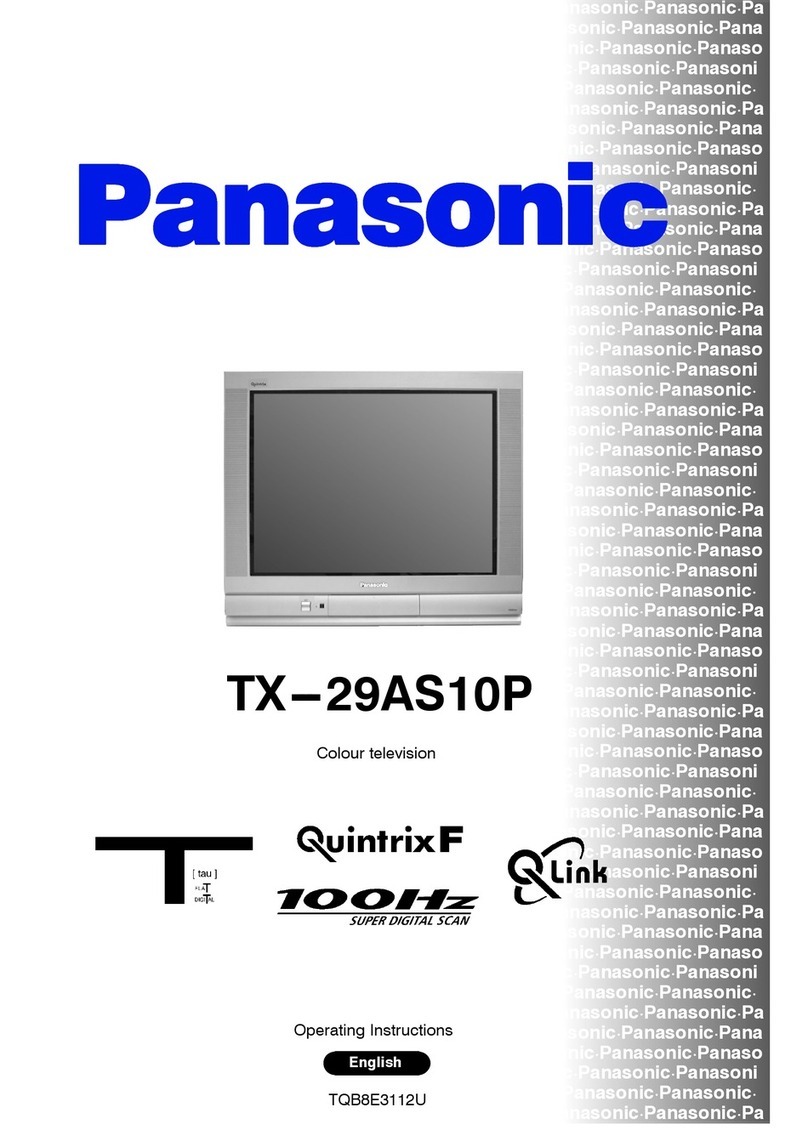 Panasonic QuintrixF TX-29AS10P User manual