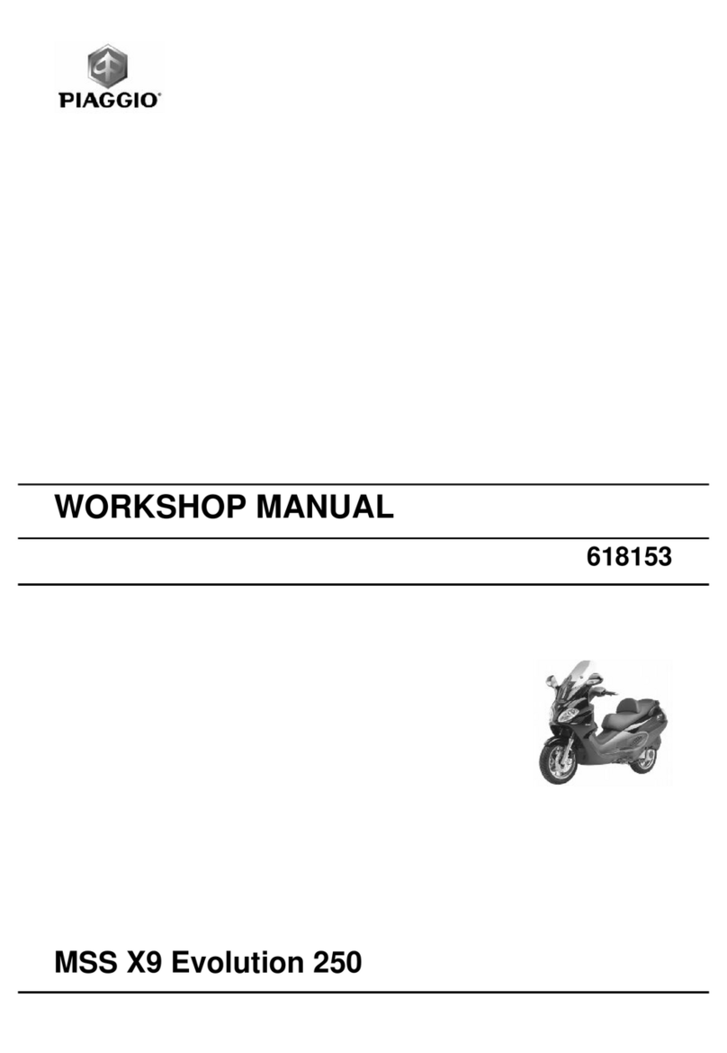 PIAGGIO MSS X9 EVOLUTION 250 Instruction manual