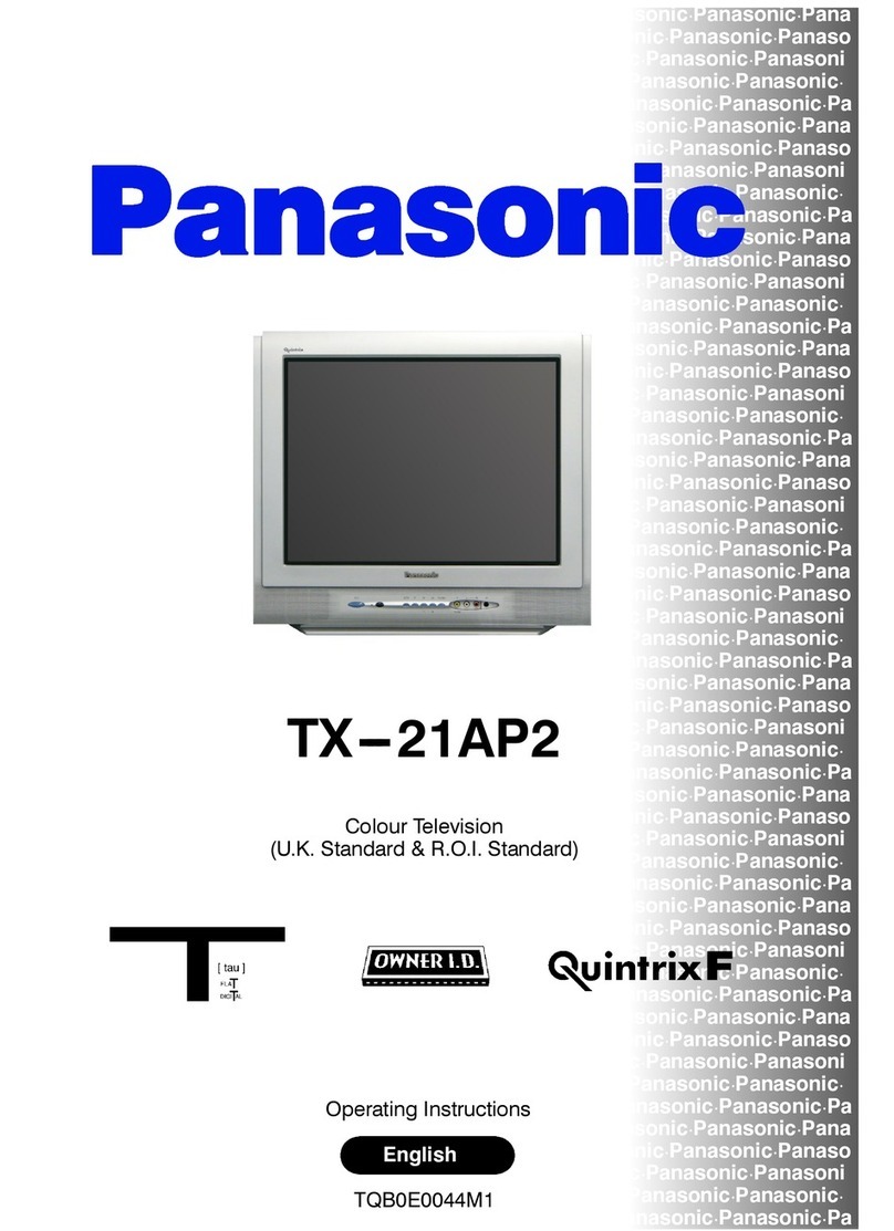 Panasonic QuintrixF TX-21AP2 User manual