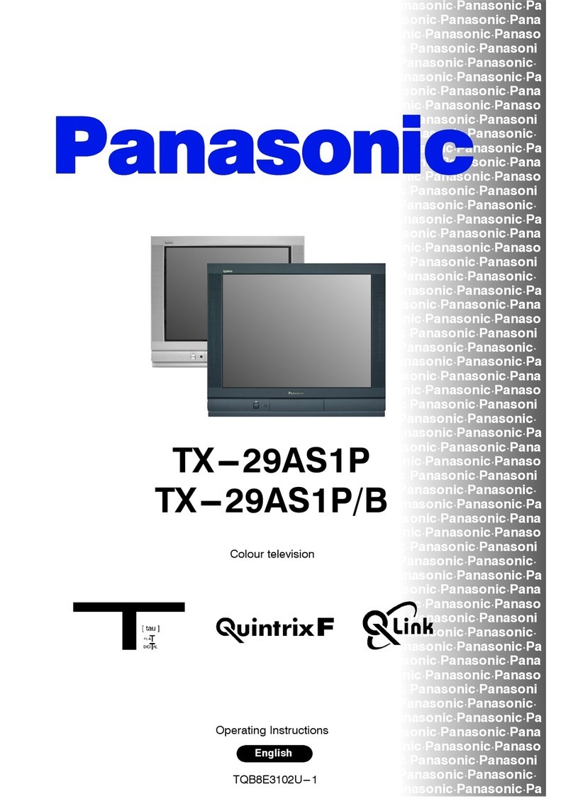 Panasonic QuintrixF TX-29AS1P User manual