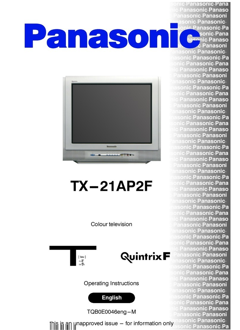 Panasonic QuintrixF TX-21AP2F User manual