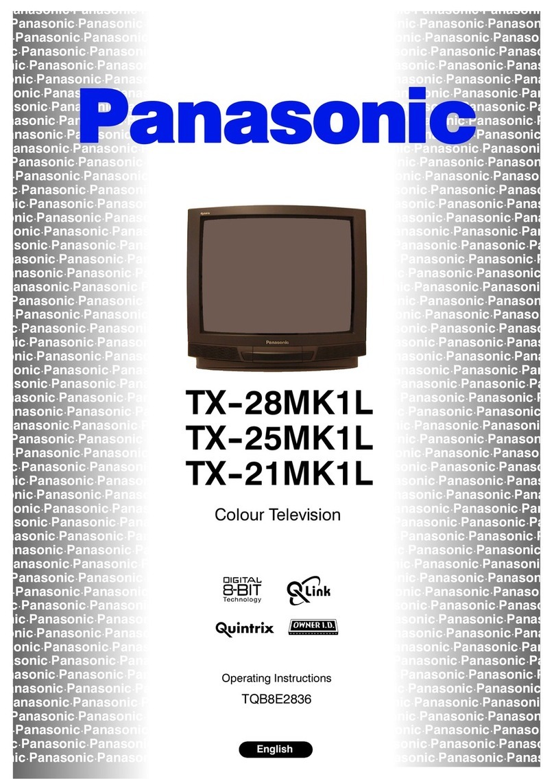 Panasonic TX-21MK1L User manual