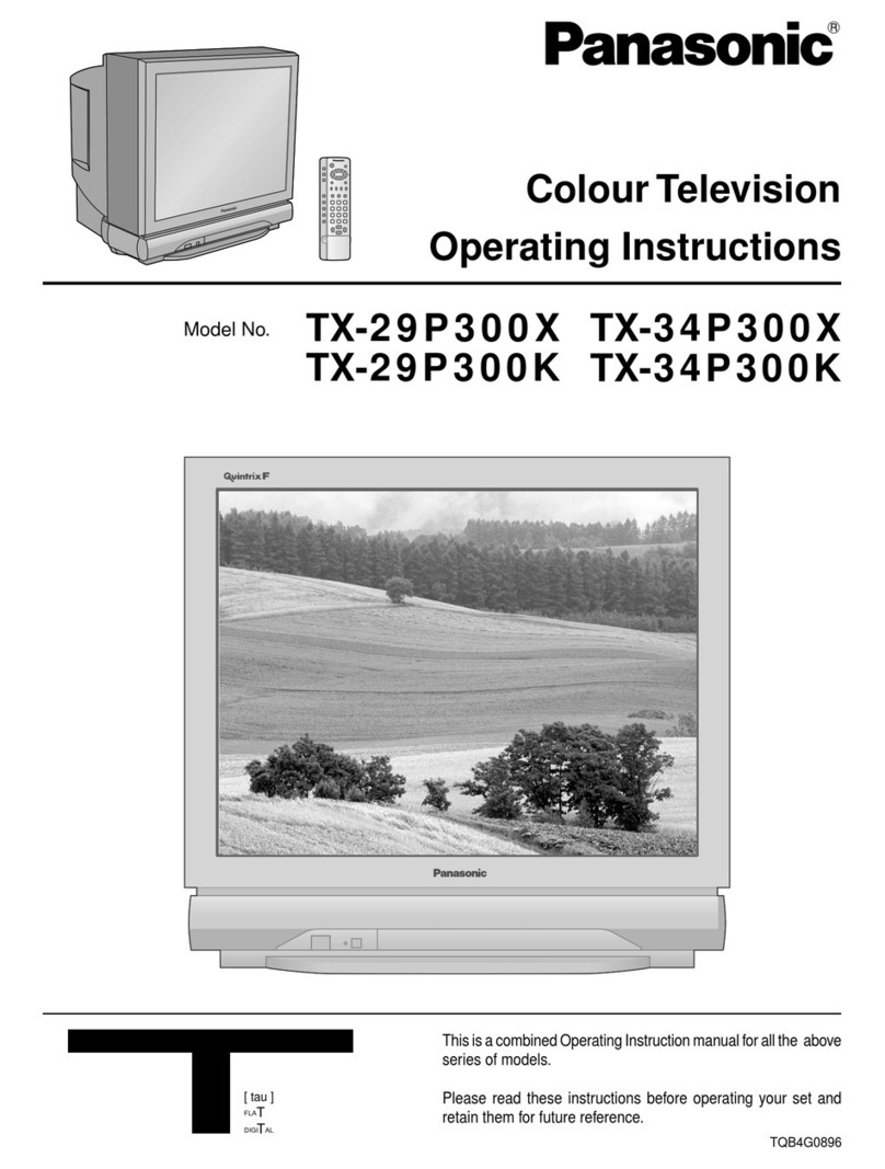 Panasonic TX-29P300K User manual