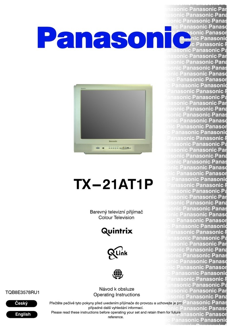 Panasonic TX-21AT1P User manual