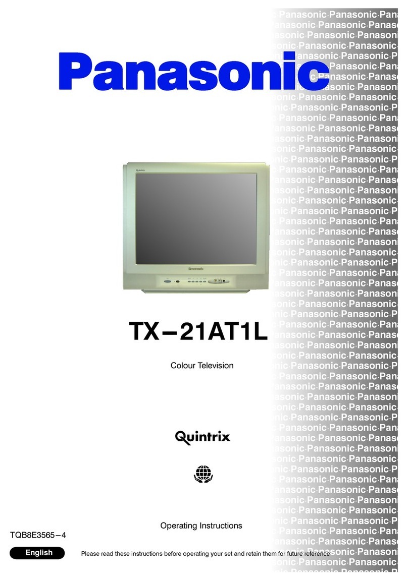 Panasonic TX-21AT1L User manual