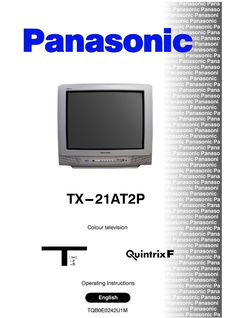 Panasonic TX-21AT2P User manual