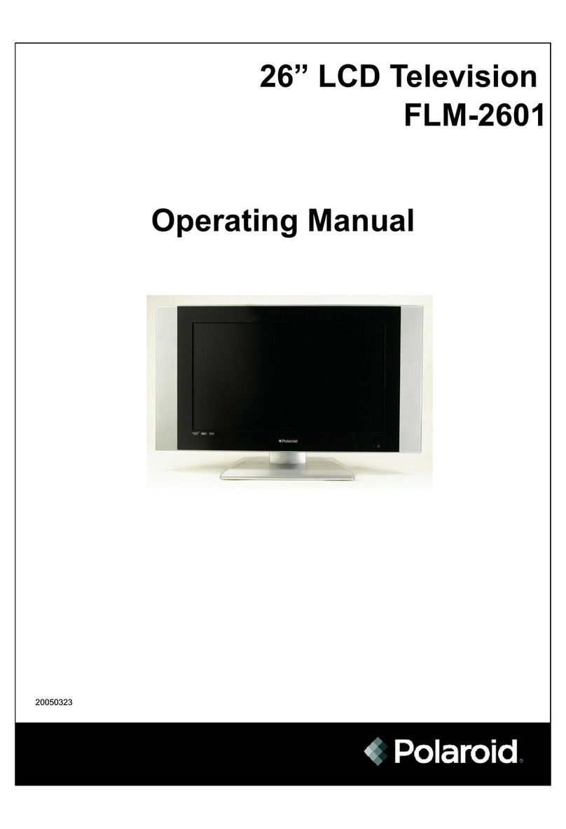 Polaroid FLM-2061 User manual