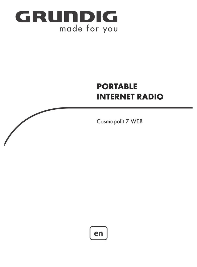 Grundig Cosmopolit 7 WEB User manual