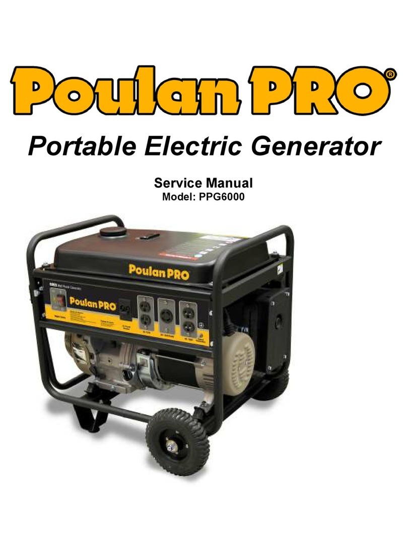 Poulan Pro PPG 6000 Service manual