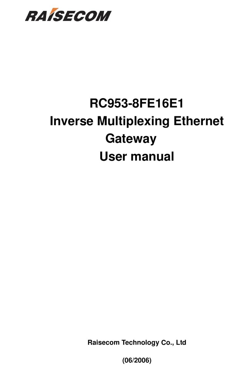 Raisecom RC953-8FE16E1 User manual