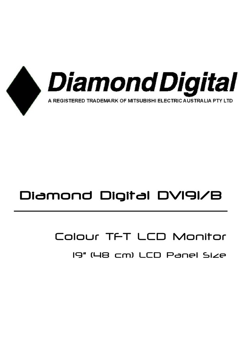Diamond Digital DV191 User manual
