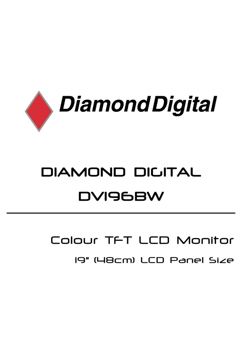 Diamond Digital DV196BW User manual