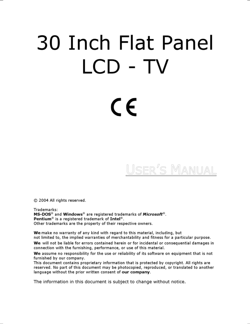 Medion Flat Panel LCD TV user manual