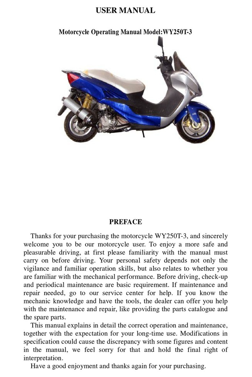 WangYe WY250T-3 user manual