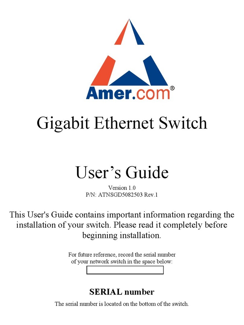 Amer.com Gigabit Ethernet Switch user guide