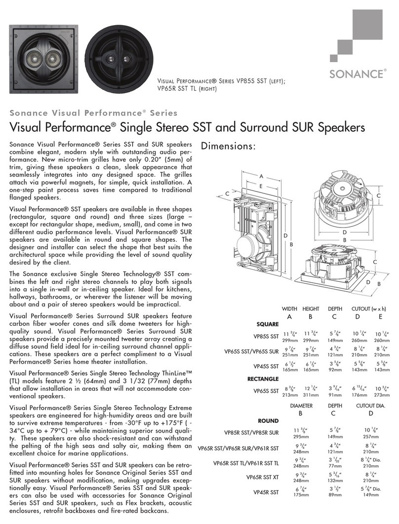 Sonance Visual Performance VP65S SUR User manual