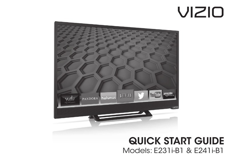 Vizio E231i-B1 User manual