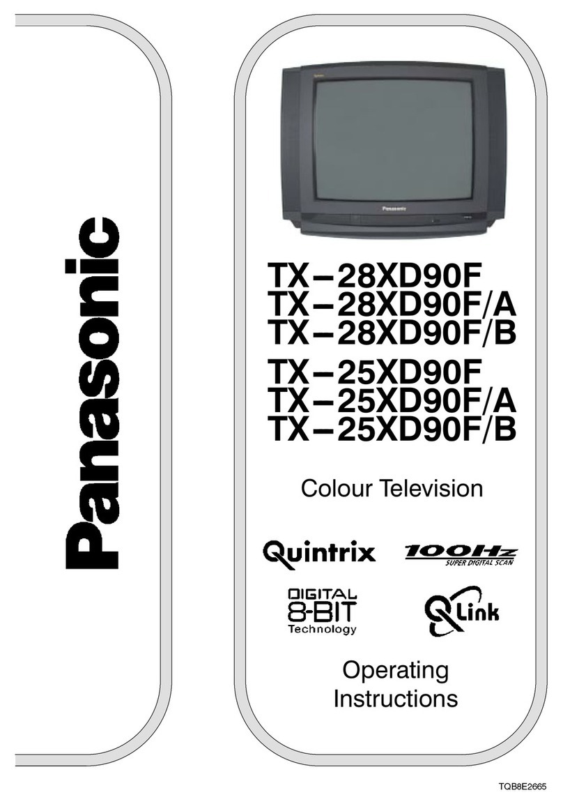 Panasonic TX-25XD90F User manual