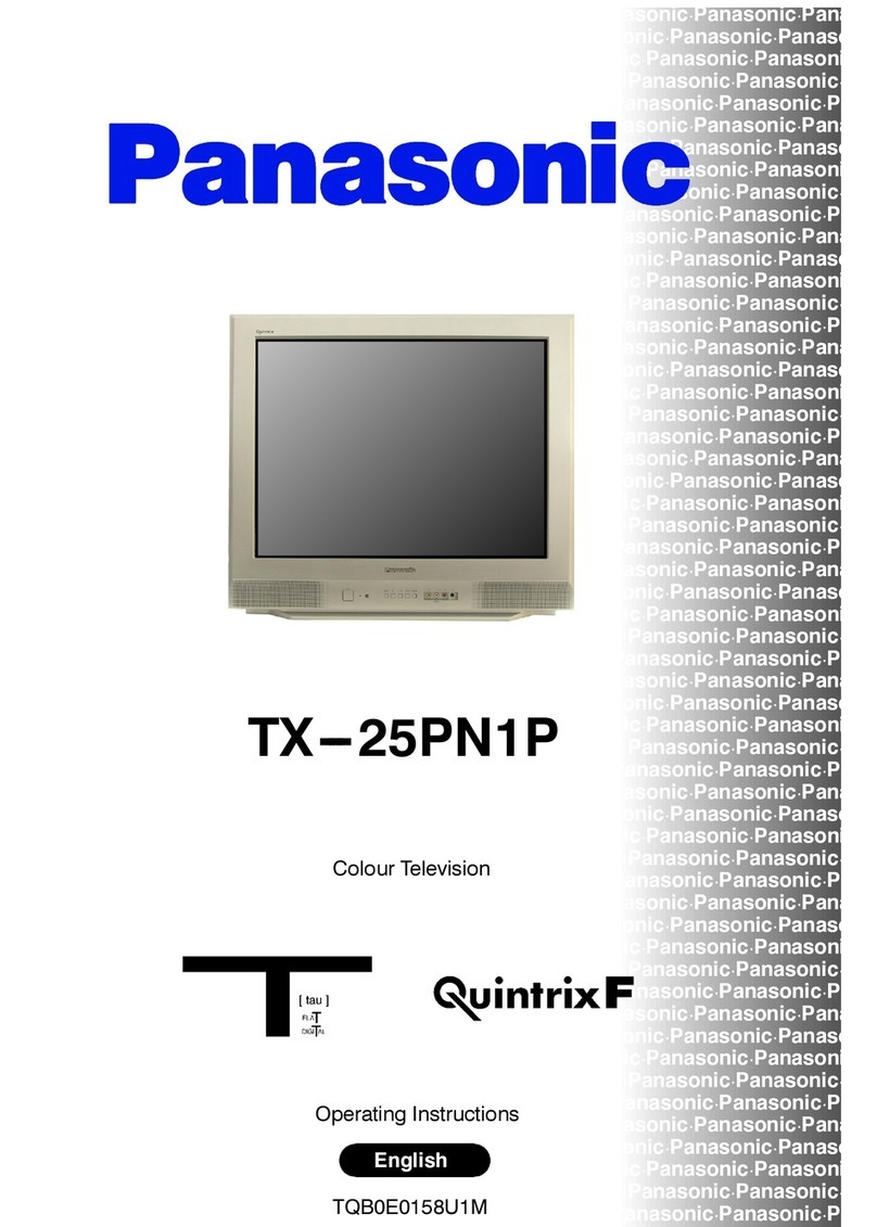 Panasonic TX-25PN1P operating instructions