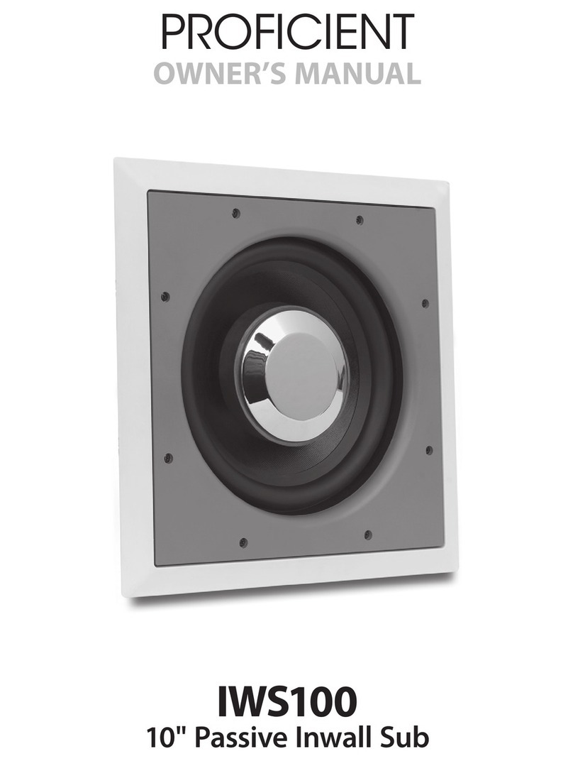 Proficient Audio Systems IWS100 owner's manual