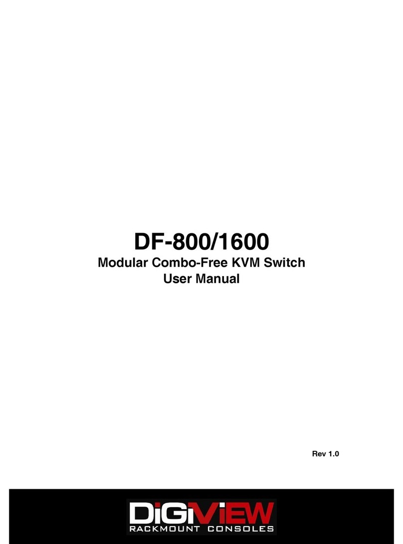 Digiview DF-800 user manual
