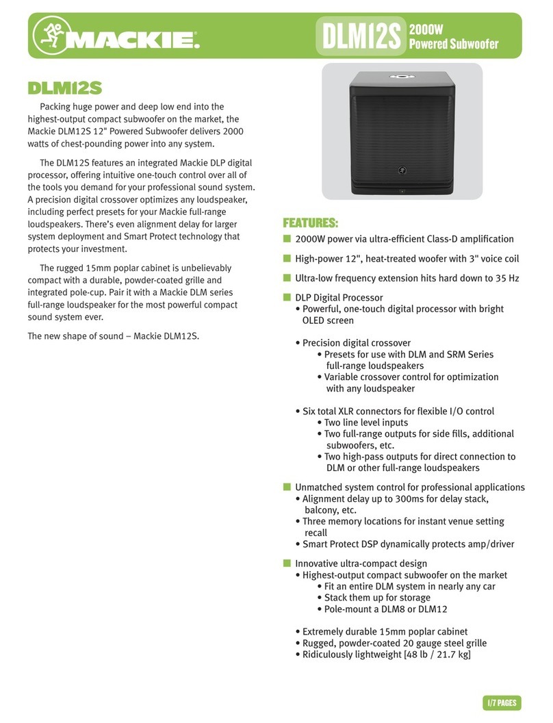 Mackie DLM12S Specifications