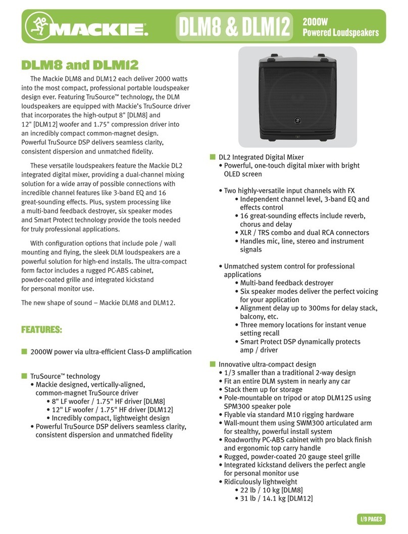 Mackie DLM8 Specifications
