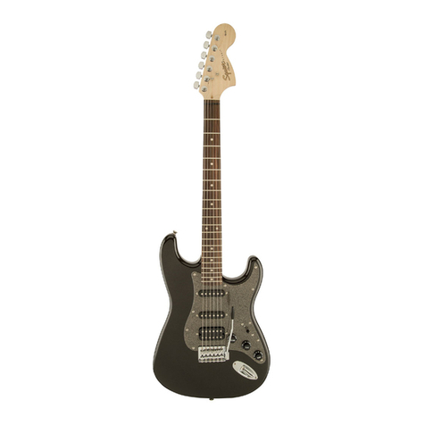 Fender CY specification