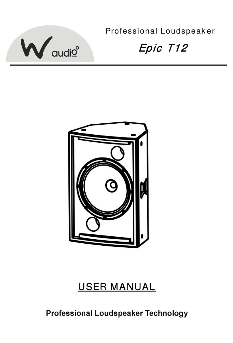 Waudio Epic T12 user manual