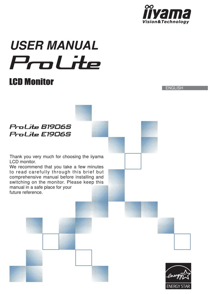 Iiyama ProLite B1906S User manual