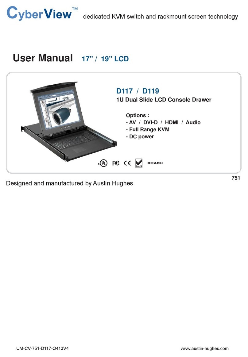 Cyber Viev D117 user manual