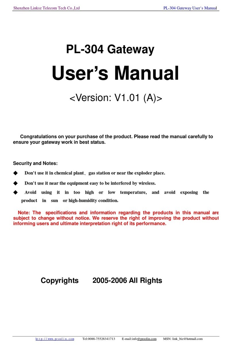 Shenzhen Linksz Telecom PL-304 User manual