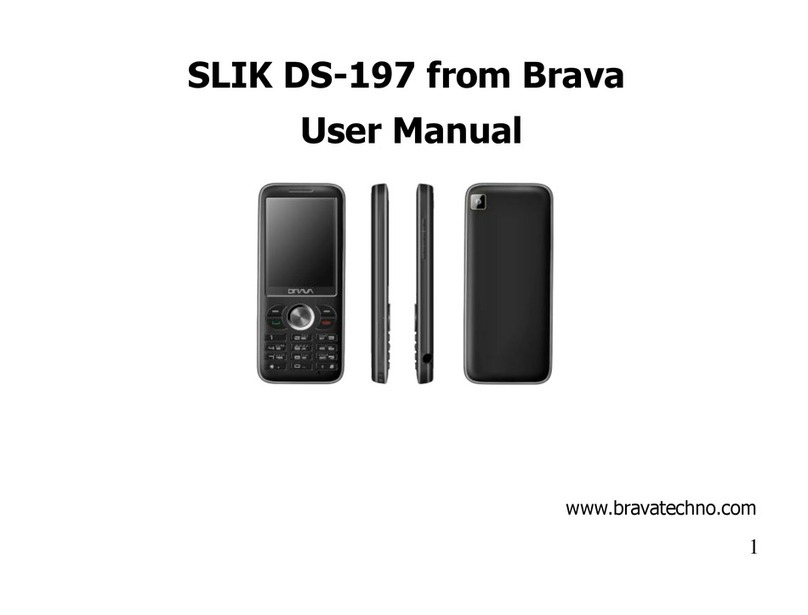Brava SLIK DS-197 User manual Brava SLIK DS-197 User manual
