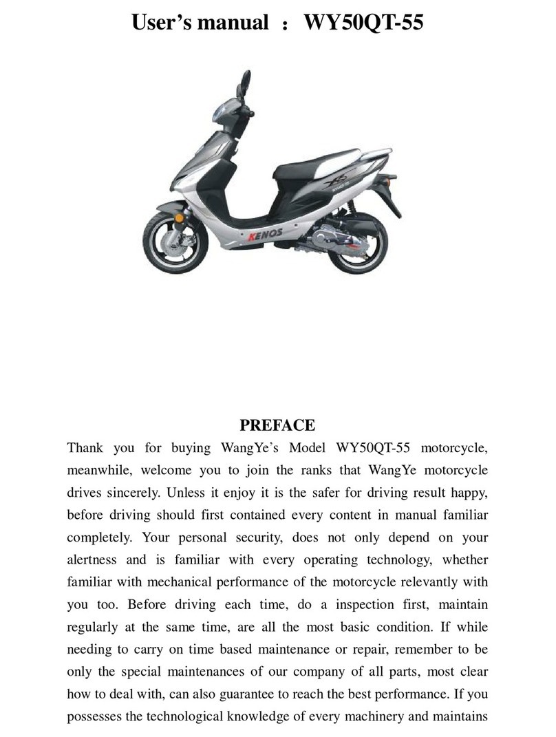 WangYe WY50QT-55 User manual