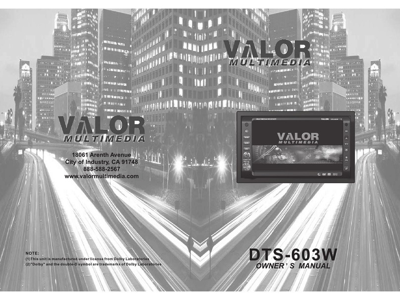 Valor DTS-603W User manual