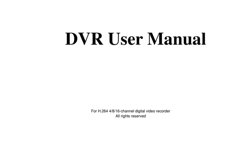 H.264 DVR user manual