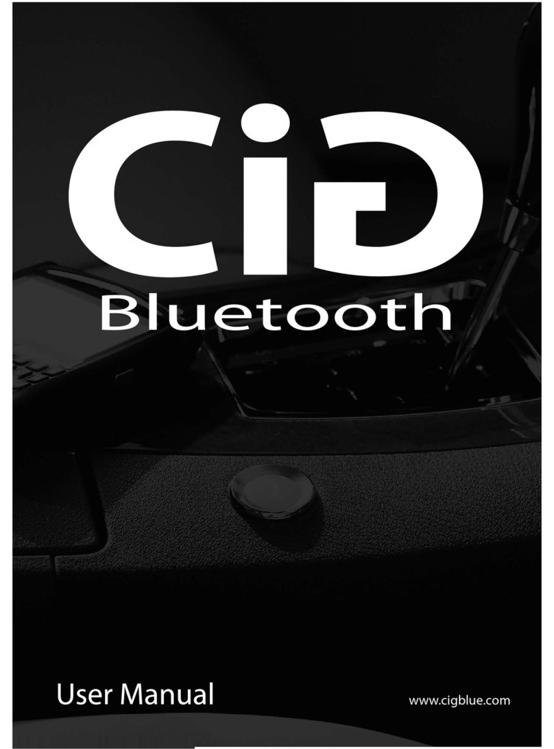 Vizualogic CiG Bluetooth user manual