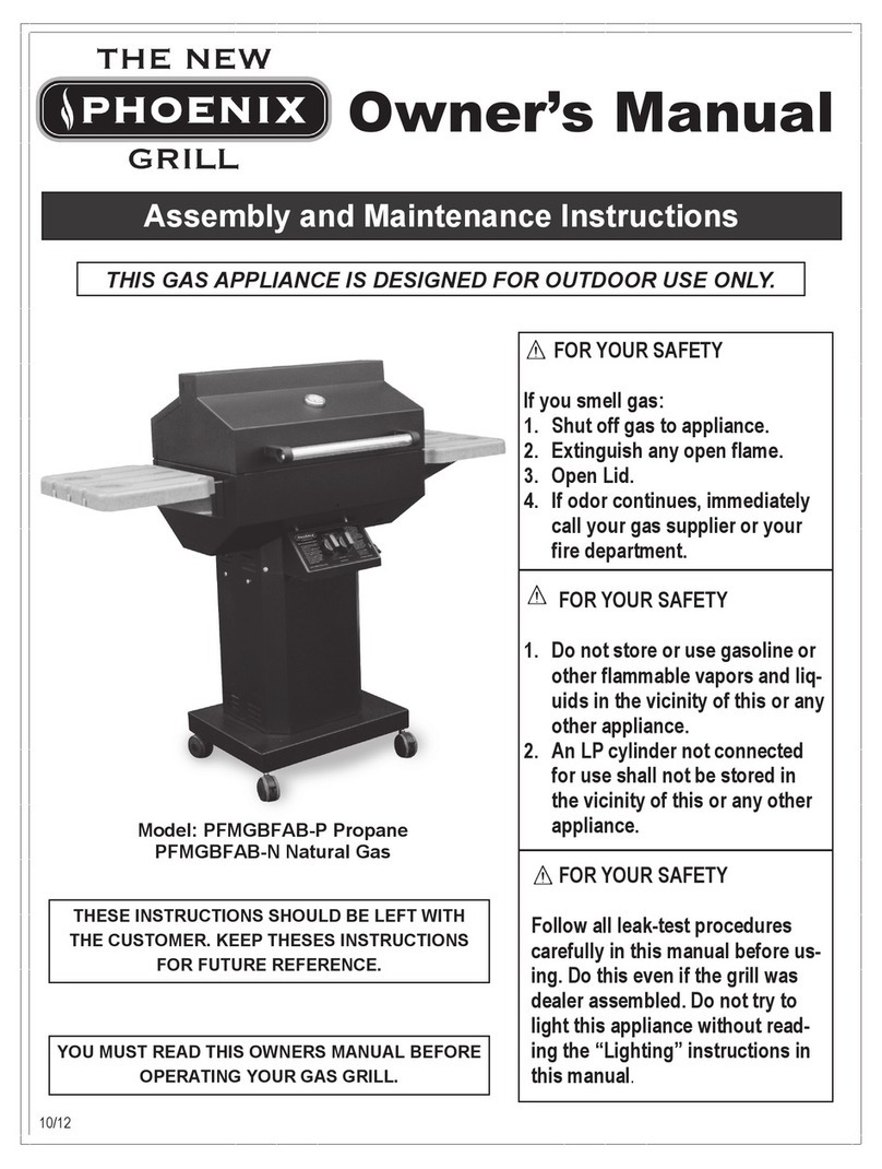 Phoenix PFMGBFAB-P owner's manual