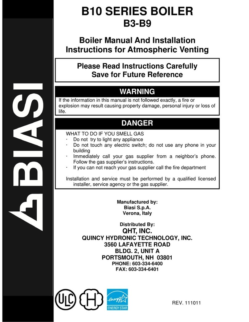 Biasi B3 Manual and installation instructions