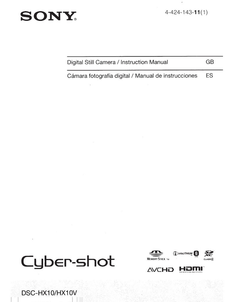 Sony Cyber-shot DSC-HX10 instruction manual