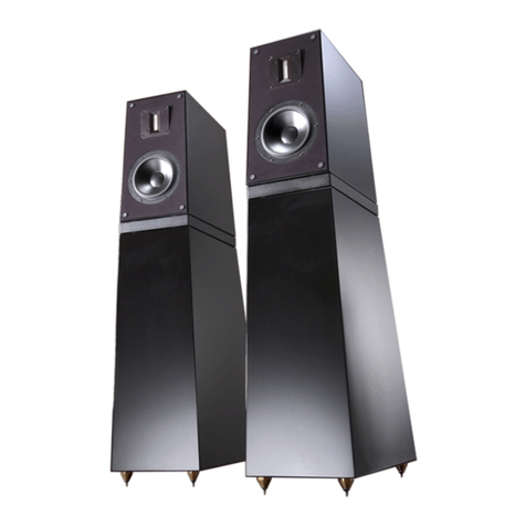 Verity Audio Sarasto owner's manual