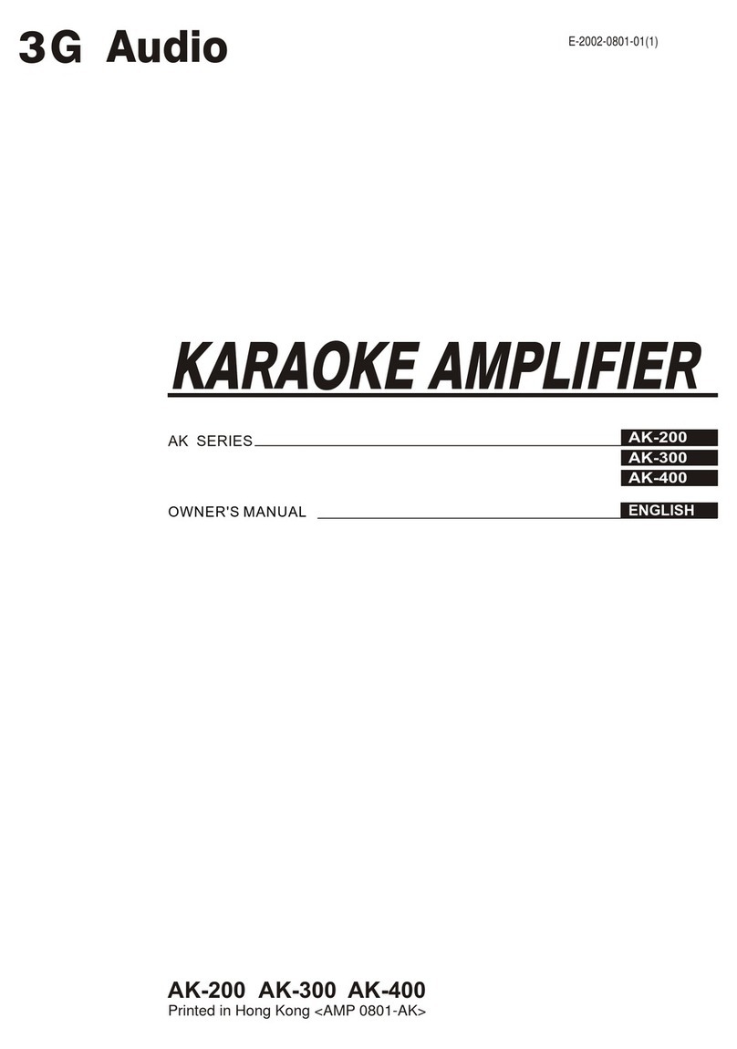 3G Audio AK-200 User manual