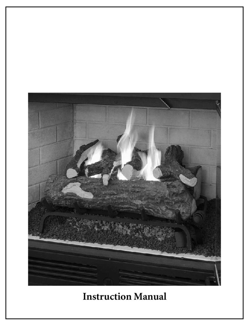 RealFlame 8805700 User manual
