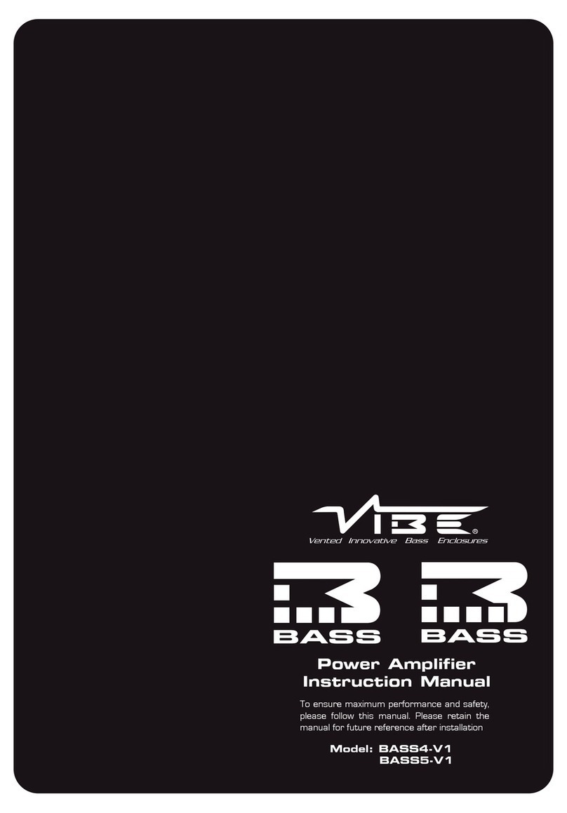 Vibe BASS4-V1 User manual