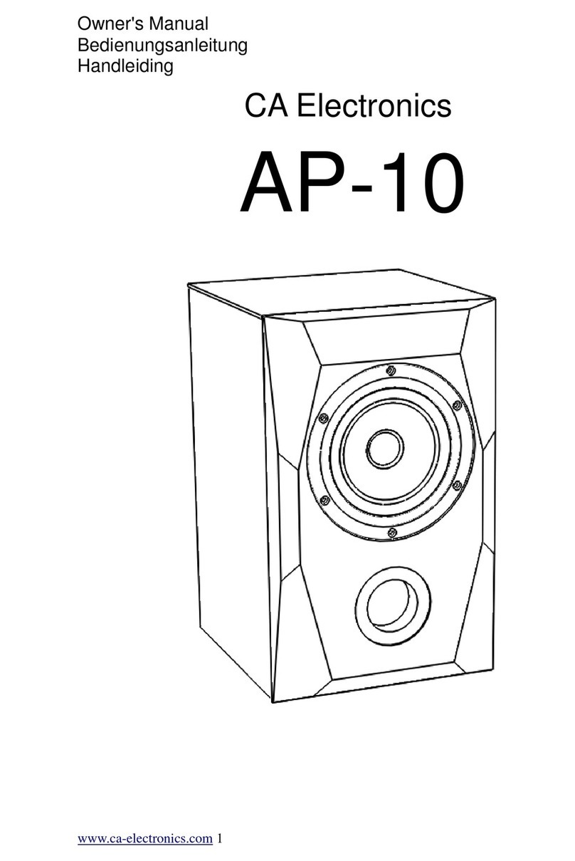 CA Electronics AP-10 owner's manual