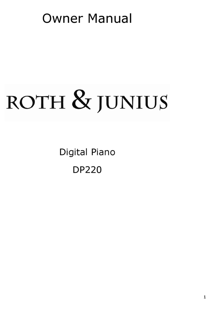 ROTH&JUNIUS DP220 owner's manual