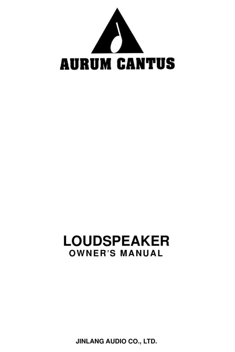 Jinlang Audio Aurum Cantus owner's manual