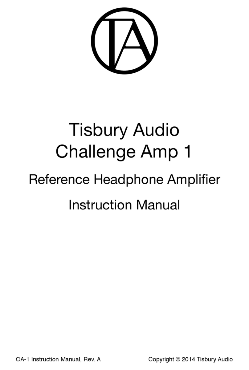 Tisbury Audio Challenge Amp 1 instruction manual